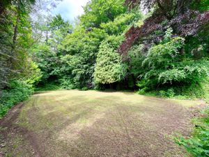 Photo 4- click for photo gallery